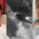 pakistani student acid attack US