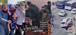 palestinian