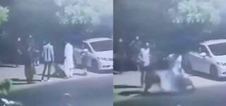 lion attacks karachi boy