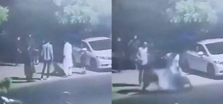 lion attacks karachi boy
