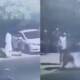 lion attacks karachi boy