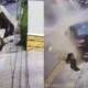 driver dies in karachi