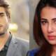 imran abbas ushna shah marriage
