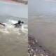 family drowned in lake