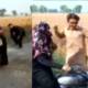 Girl Harassment Jhang