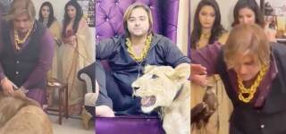 kashif zameer lion beating video