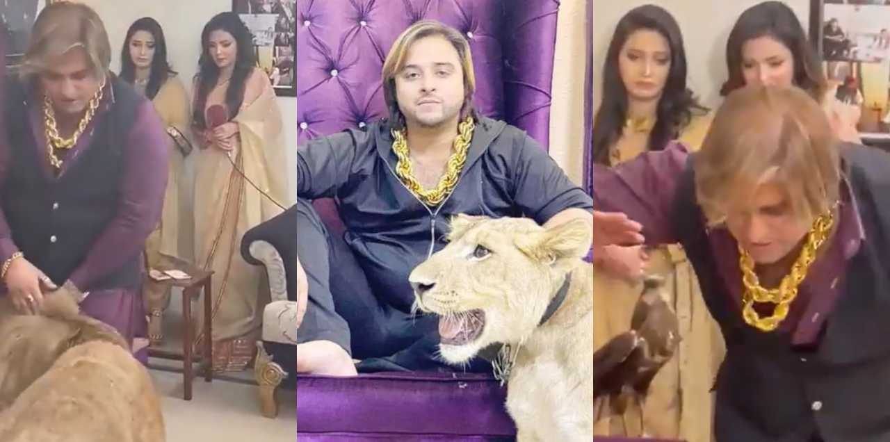 kashif zameer lion beating video