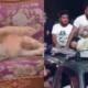 Man Beats Tortures Lion Cub