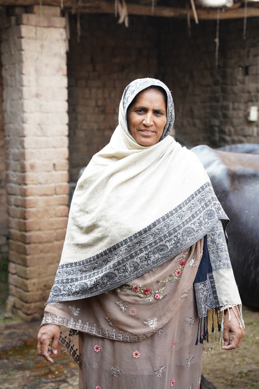 Story Irshad Bibi