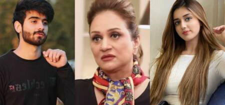 Bushra Ansari Jannat Mirza abuse