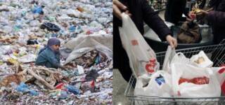 Plastic Harming Environment