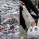 Plastic Harming Environment