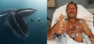 whale swallows man spits