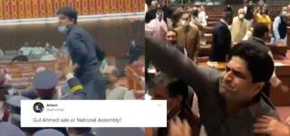 NA govt opposition abuses murad saeed