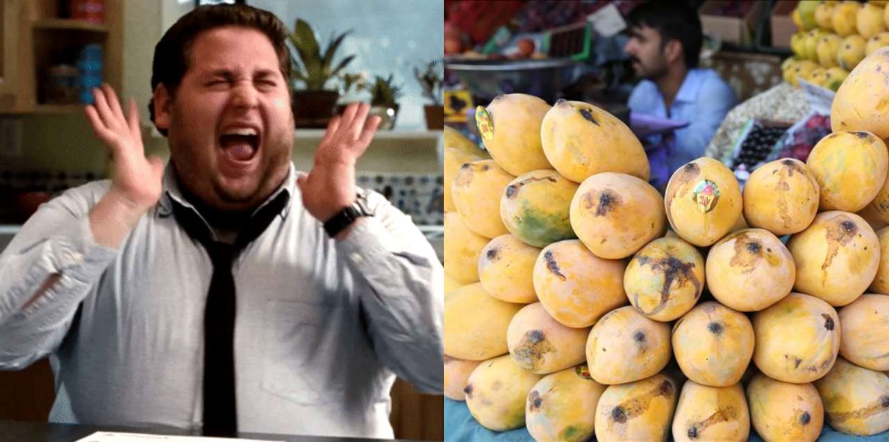 sugar free mango pakistan