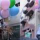youtuber fly dog Helium Balloons