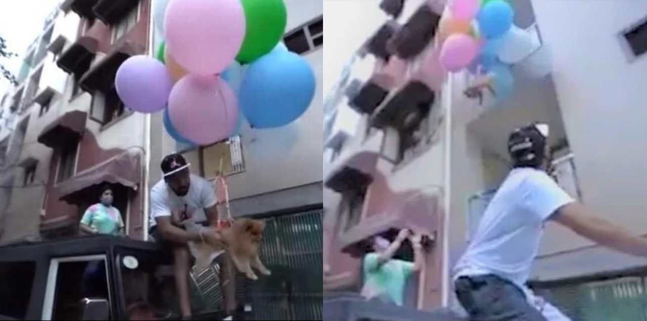 youtuber fly dog Helium Balloons