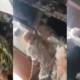 woman abusing beating mother-in-law