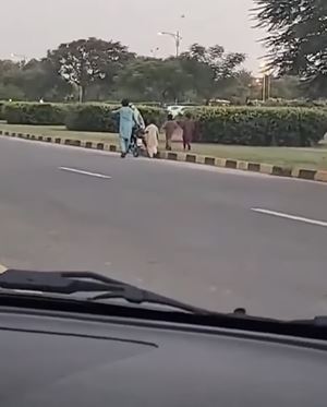 wife ride motorbike