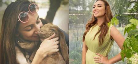 anoushey ashraf sacrificial animals