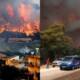 turkey Forest Fires