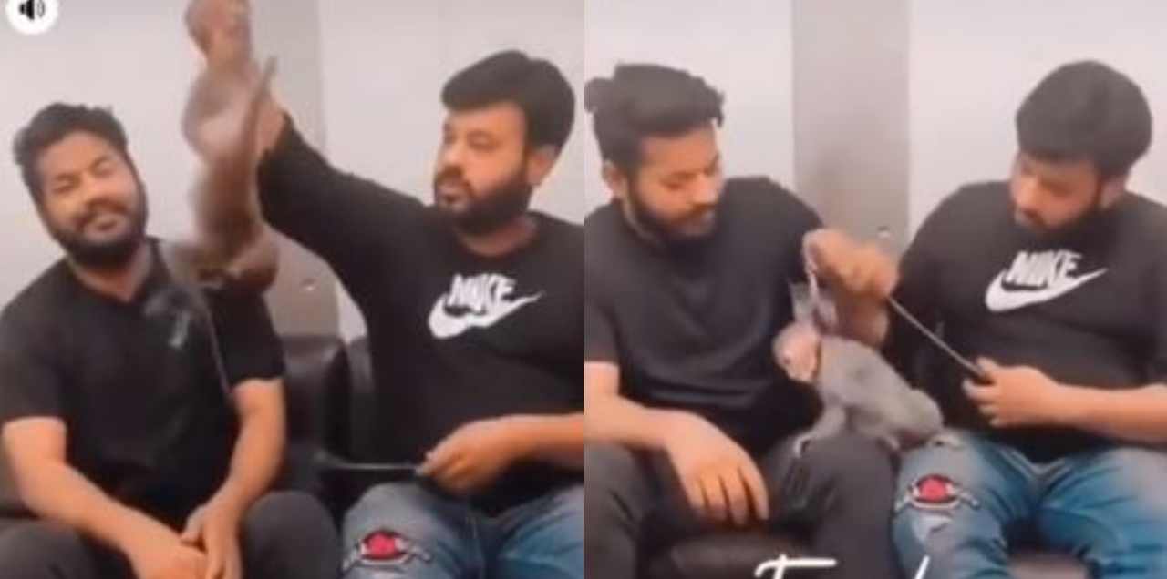 men lahore torture monkey