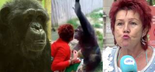 Woman Banned Zoo Affair Chimpanzee