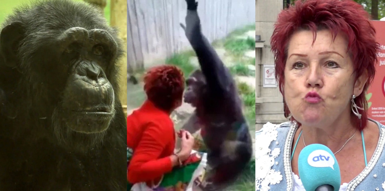 Woman Banned Zoo Affair Chimpanzee