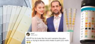 shahbaz taseer neha rajpoot