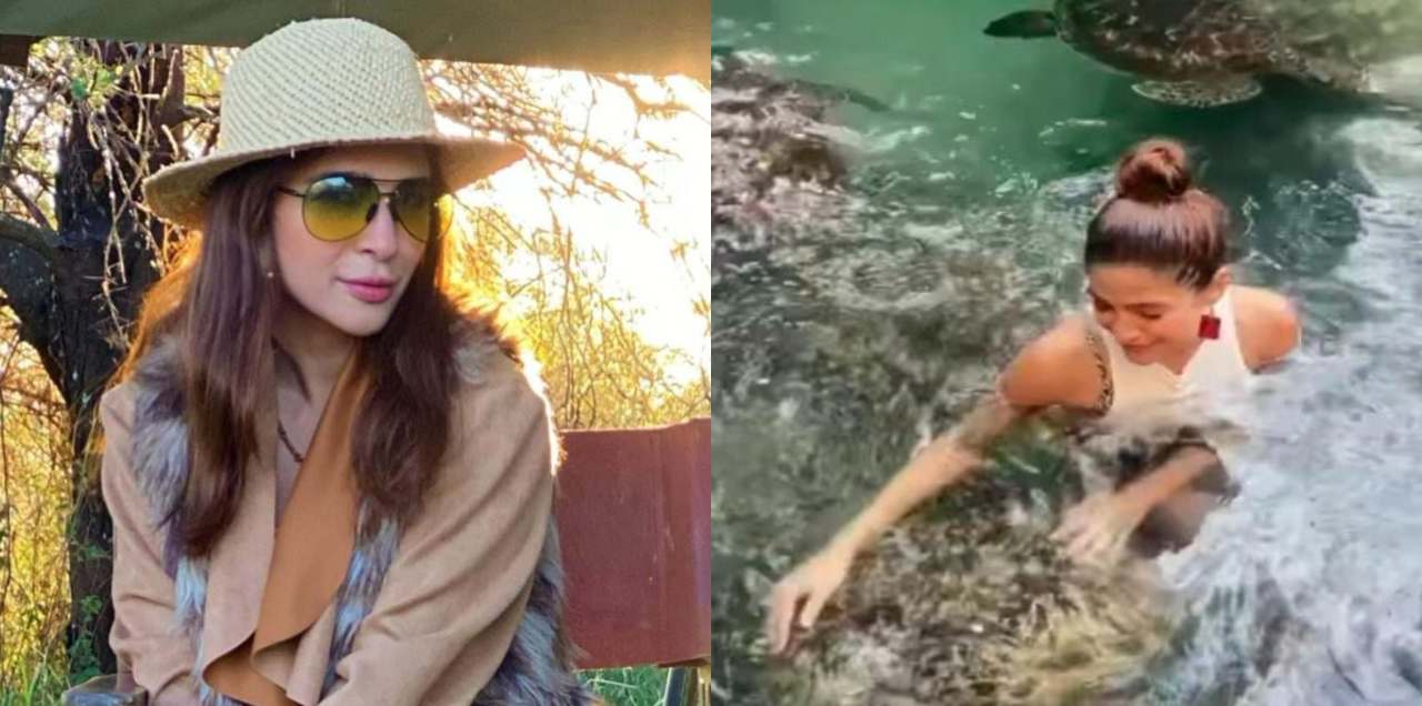 ayesha omar swimming
