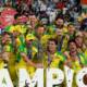 Australia T20 champions