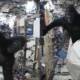 gorilla in space