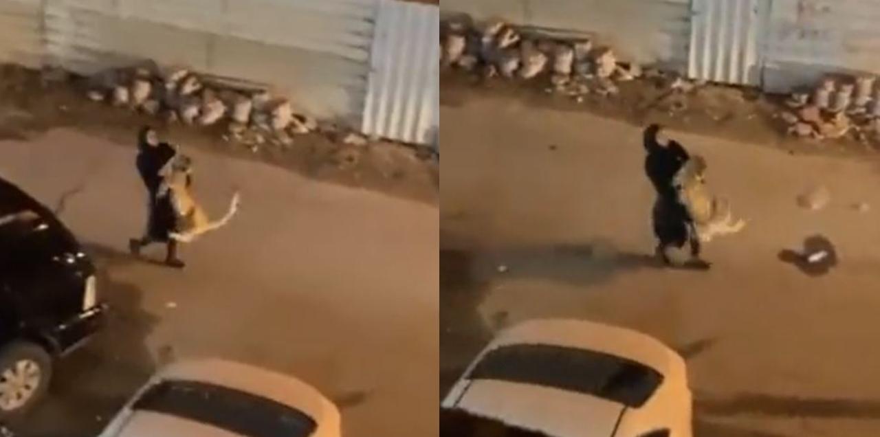 woman carrying lion kuwait