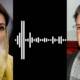 pml-n maryam parvez audiotape
