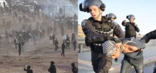 Naqab Palestinians plant trees