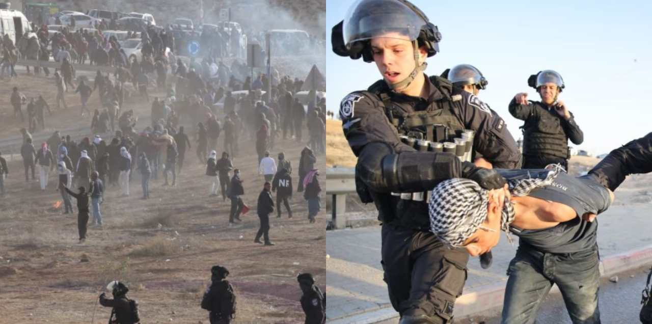 Naqab Palestinians plant trees