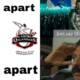 fans PSL meme