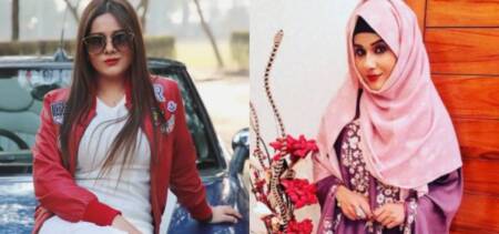 mehjabi siddiqui quits showbiz