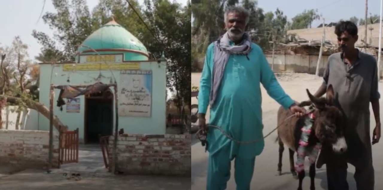 donkey at shrine