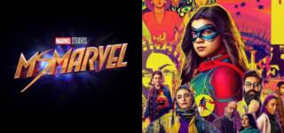Marvel Poster Pakistani Heritage