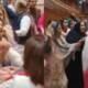 female mlas fight