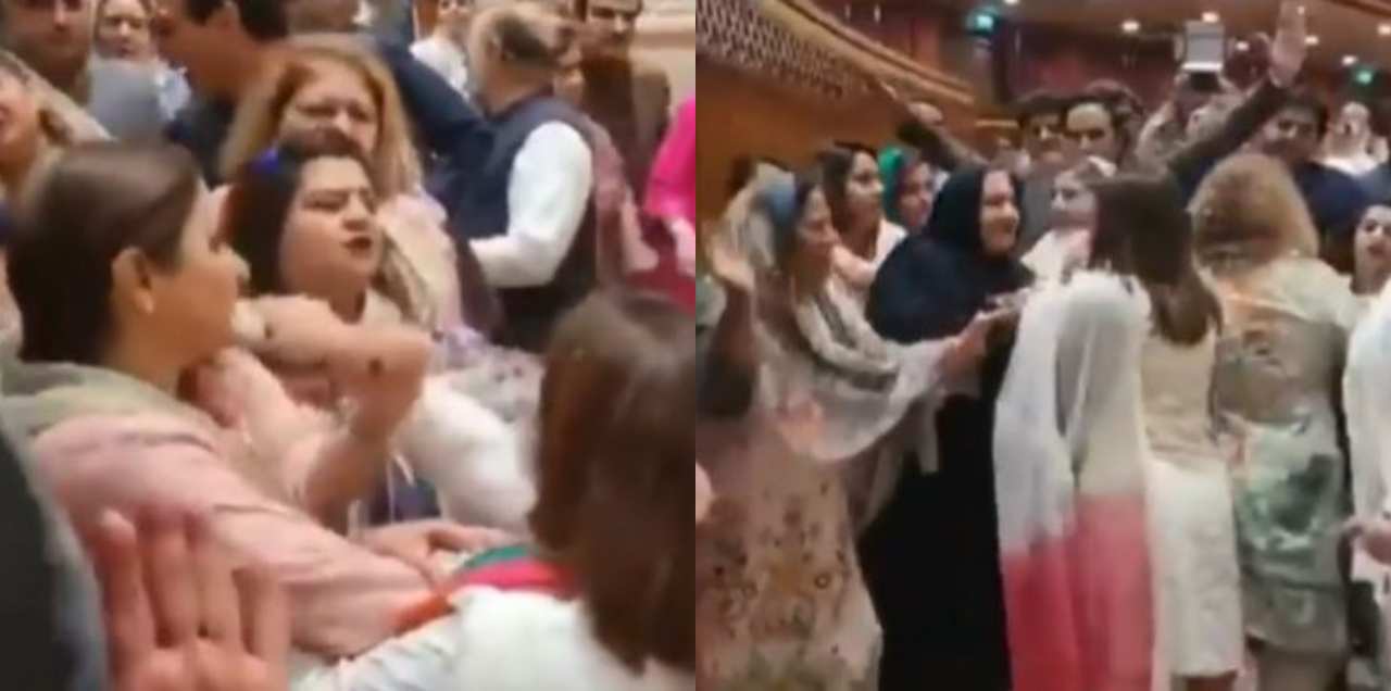 female mlas fight