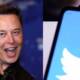 Elon Musk buys twitter