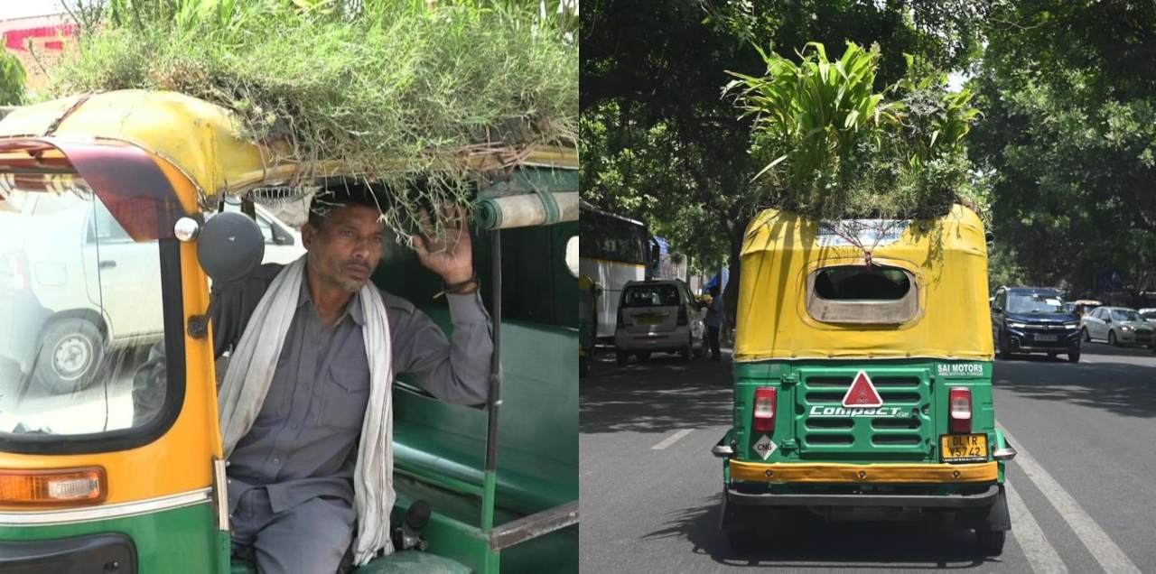 garden on autorickshaw