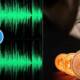 audio leaked on dark web