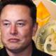Elon Musk predict future of crypto market