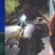 Celebrities Pray Earthquake Victims