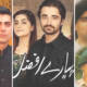 Best Pakistani Dramas