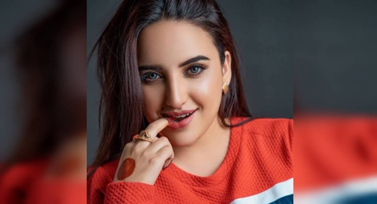 TikTok Star Hareem Shah Reveals Who Leaked Her Video