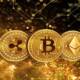 Crypto 2023
